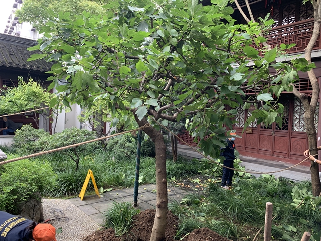 微信圖片_20210811102009.jpg