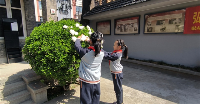 圖片 3.png